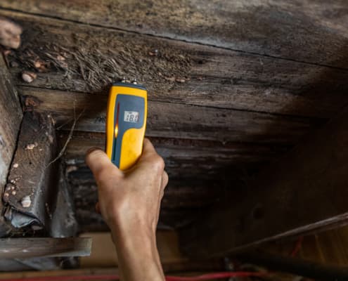Mold & Air Quality Testing